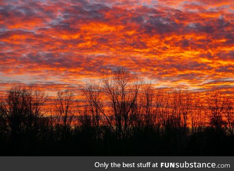 Amazing sunset in southern Michigan