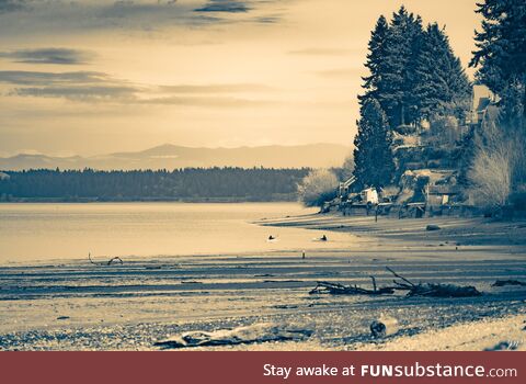 Kayaking the Puget Sound