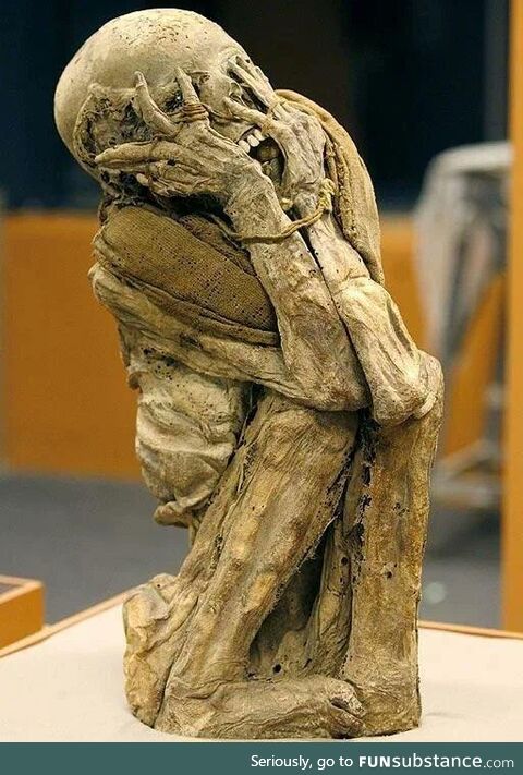 This 15th century mummy found in a rain forest