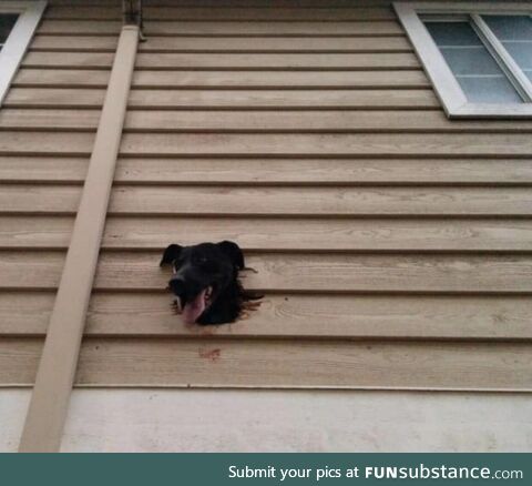 You forgot to say goodbye