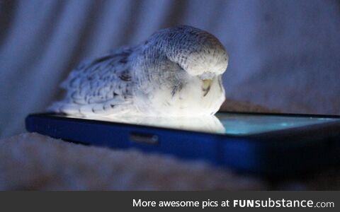 Kids these days, always on their phones