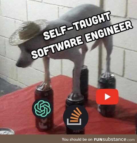 selfTaughtSoftwareEngineer