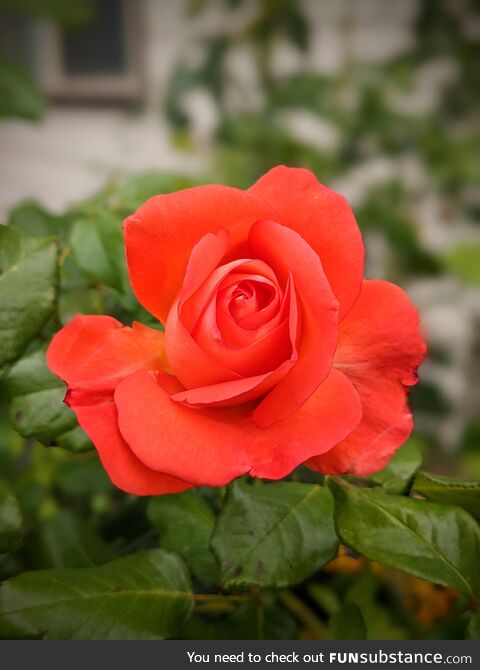 [OC] When the Morning Light is Just Right