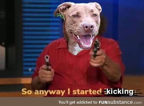 When your dog wants more space on the bed