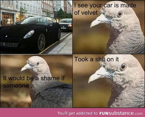 Velvet car enemy