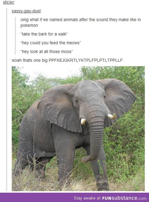If animals were named after their sounds