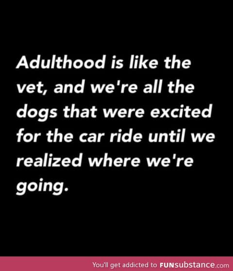 Adulthood is like we're dogs