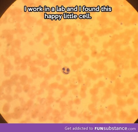 It's a happy cell