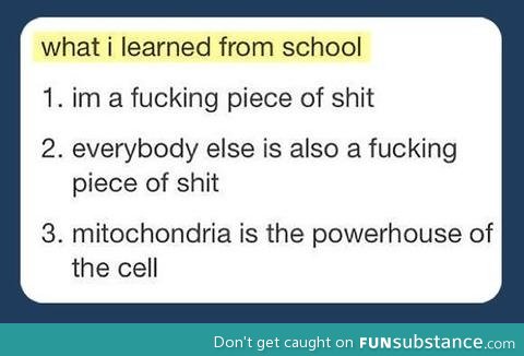 What I learned from school