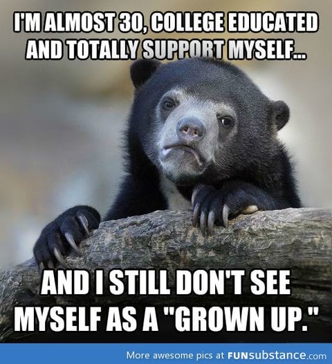 Anyone else feel this way about adulthood?