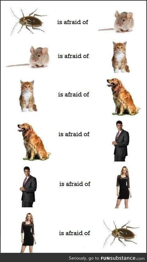 The circle of fear