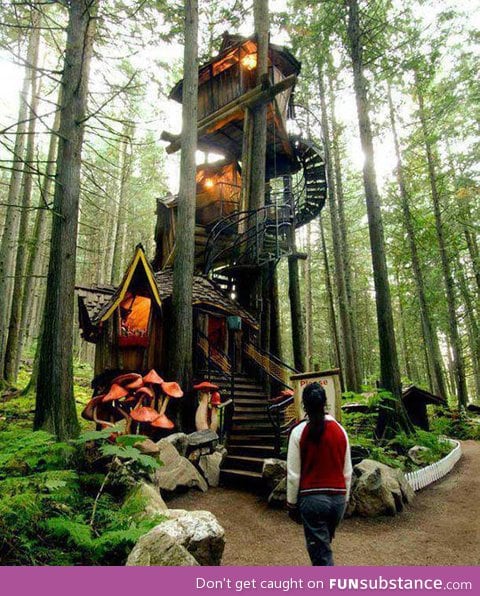 Multi-layered tree house