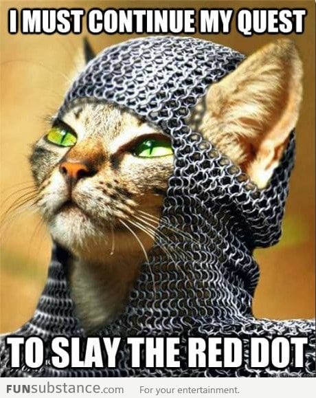 And Sir Whiskers rides on