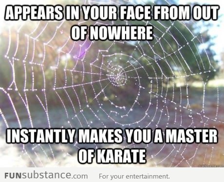 Good guy spider web