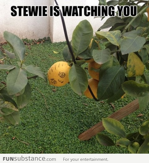 He's watching you