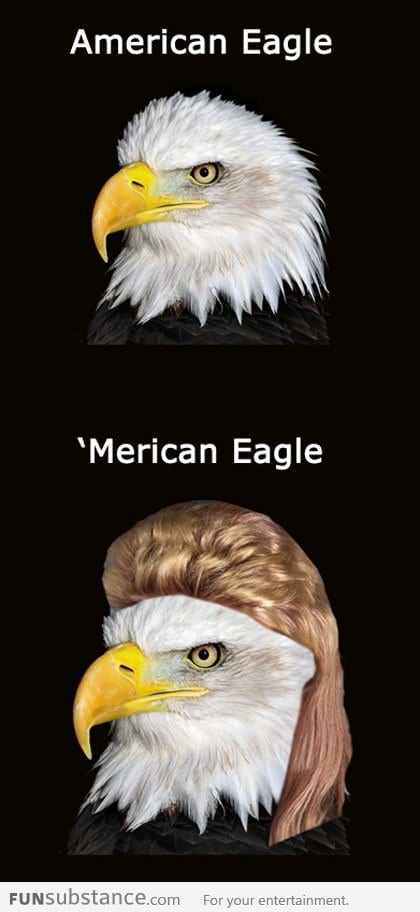 American Eagle