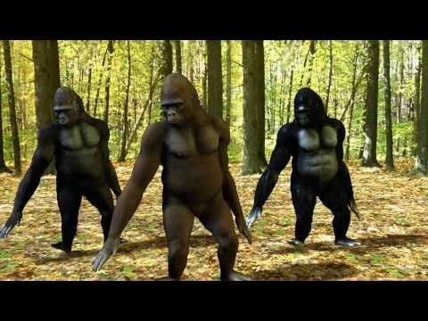 Gorillas
