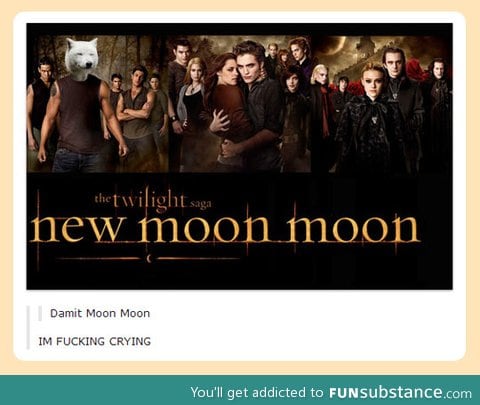 New moon moon