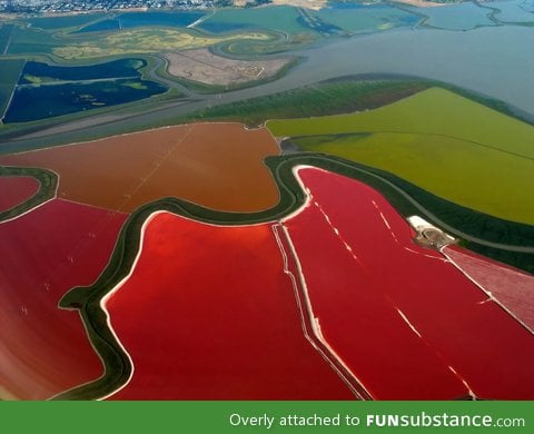 Multi colored salt ponds in san francisco