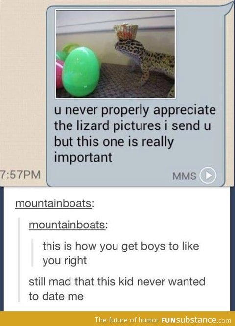 Lizard pics