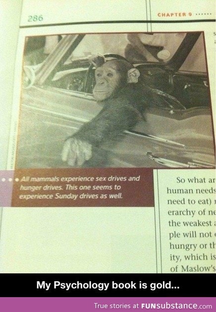 Great example