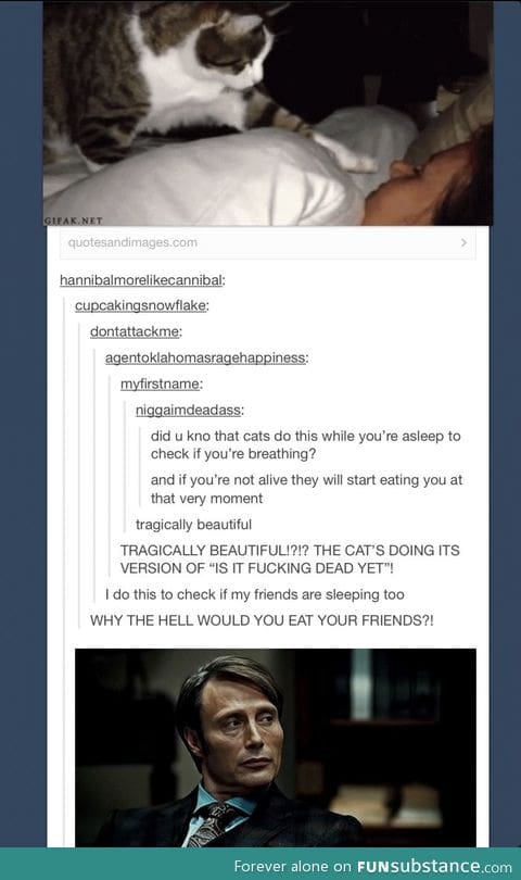 Cats are freaky animals