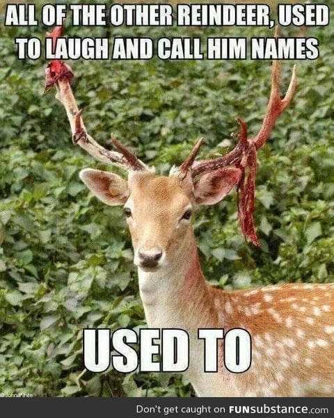 Rudolf is sick of your shit