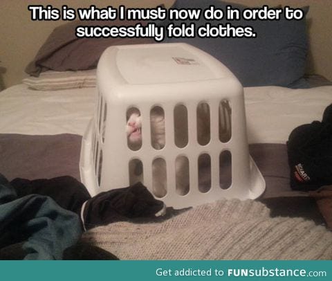 You will pay human