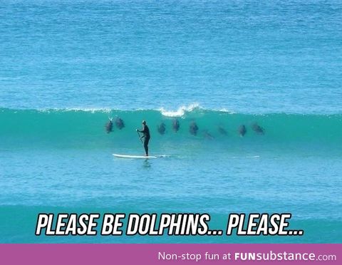 Let there be dolphins