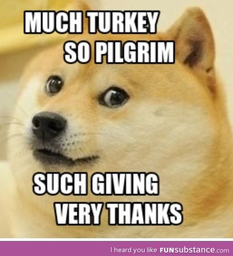 Have a doge thanksgiving