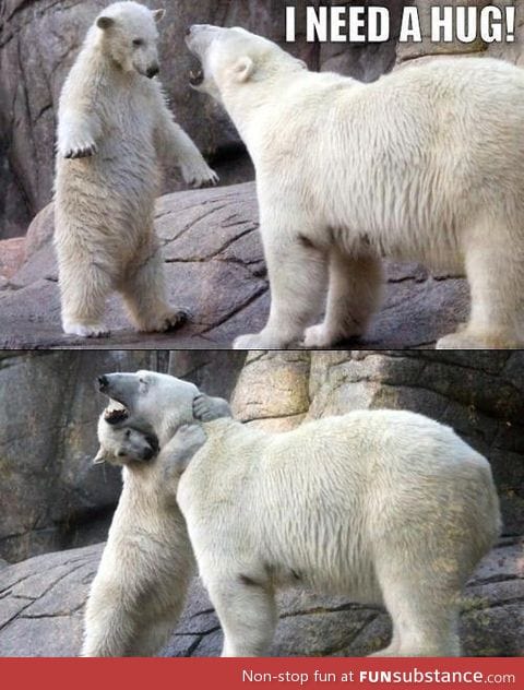 Polar love