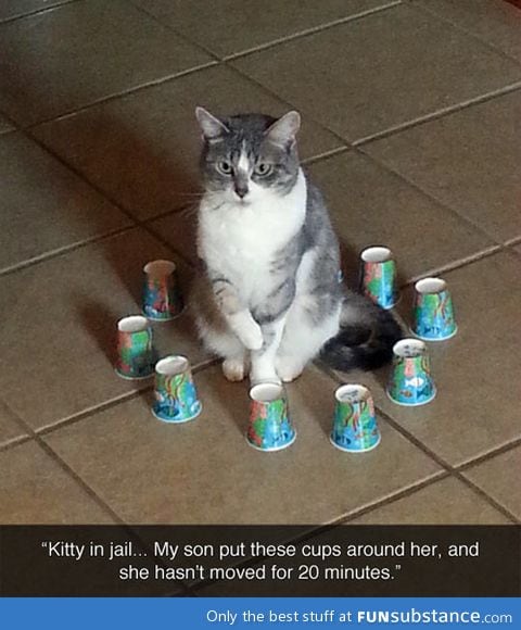 kitty jail