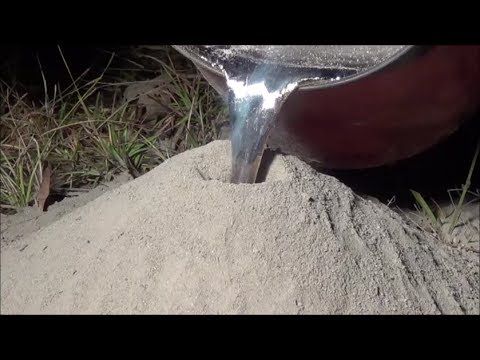 What Happens When You Pour Molten Aluminum Into An Ant Hill
