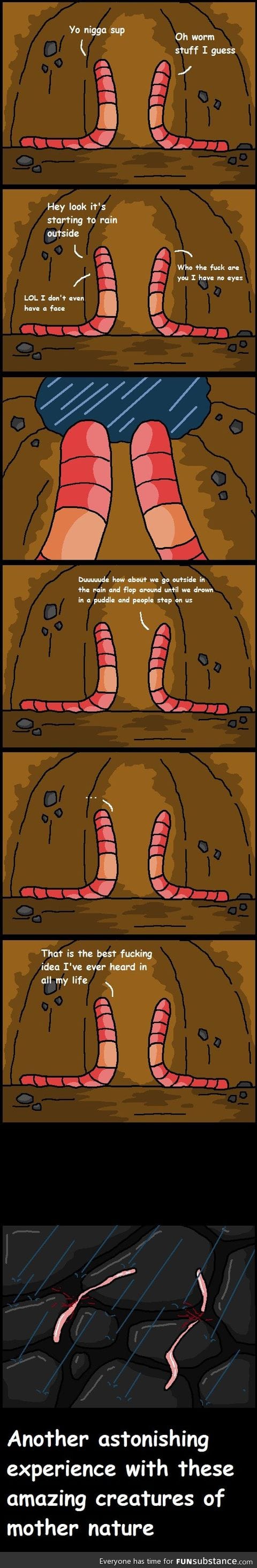 Worm logic