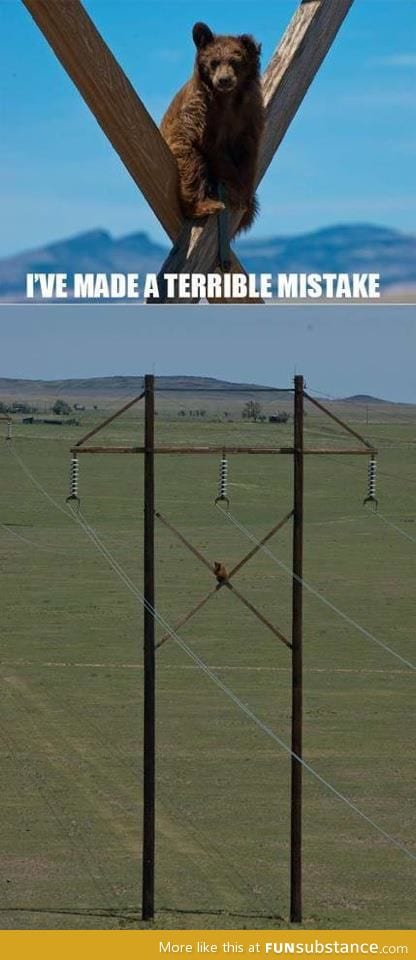 I've made a terrible mistake