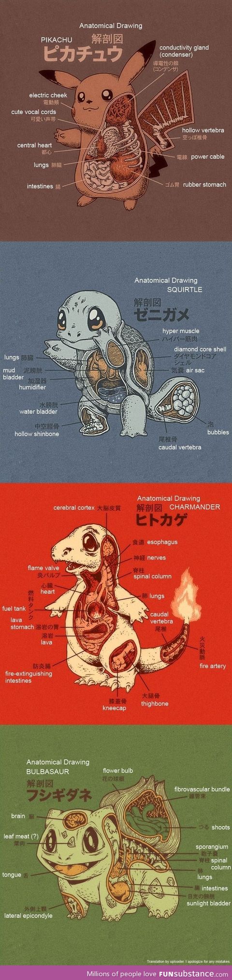 Pokemon anotamy
