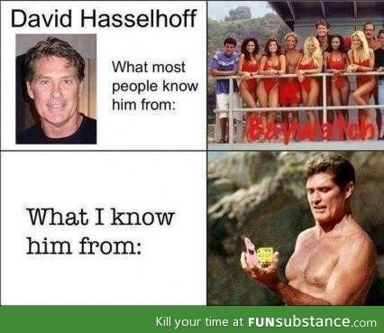 David Hasselhoff