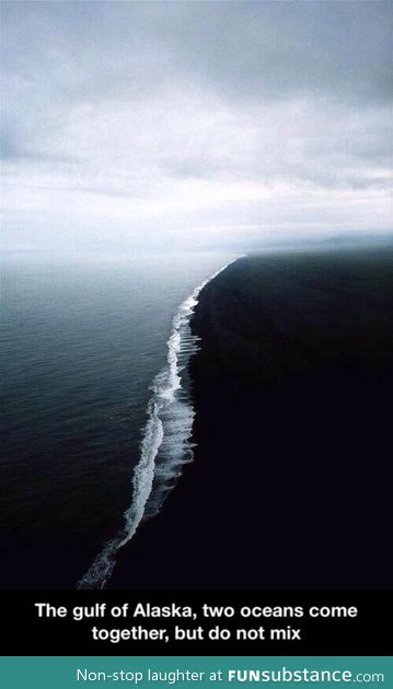 The gulf of alaska