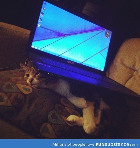 Revenge is sweet!