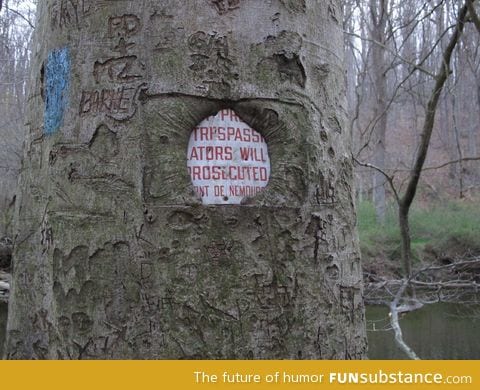 Don't trespass on nature. Nature wins in the end