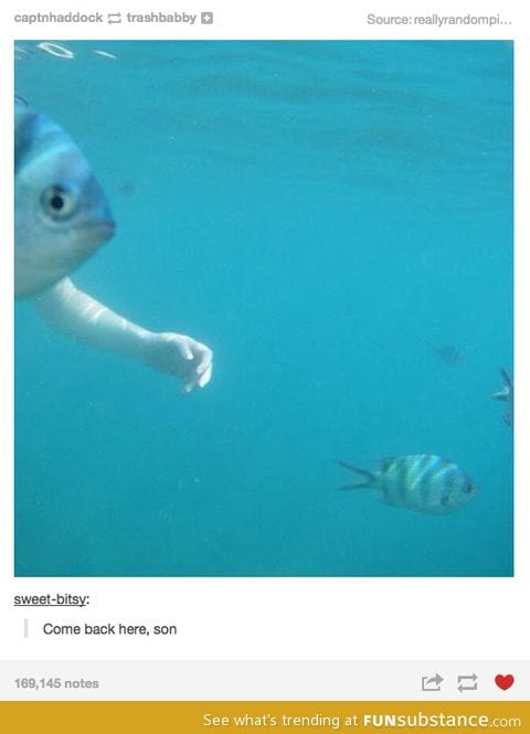 Come back here, son